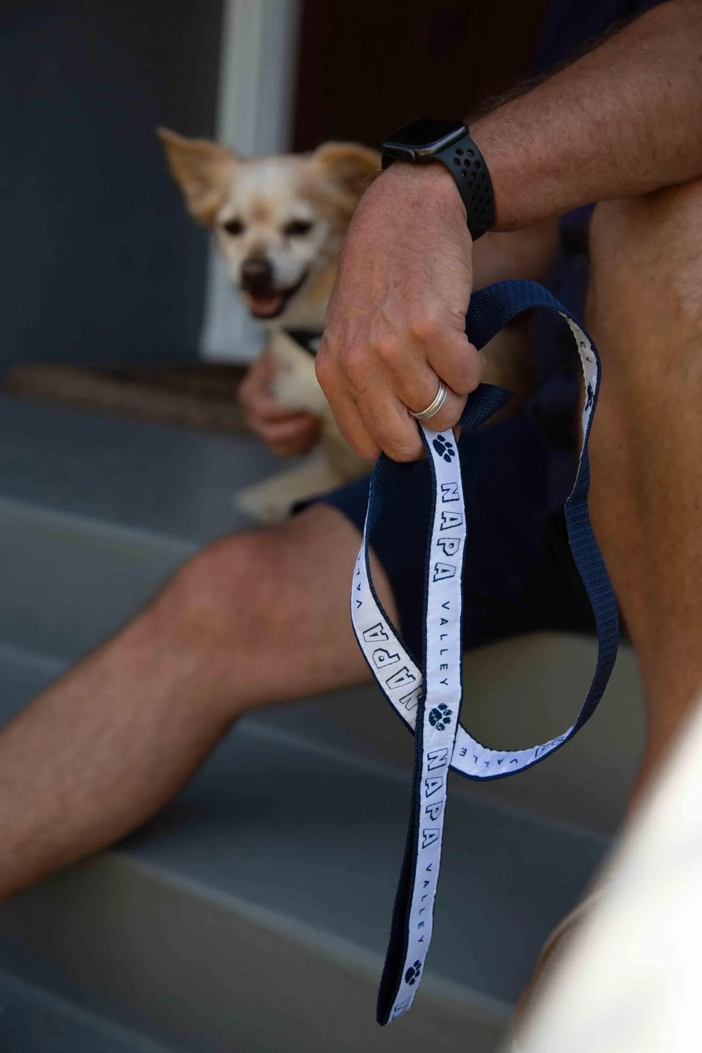 1" Dog Leash 6 ft. Printed with a Customizable BLOCK SPORT COLLECTION Design