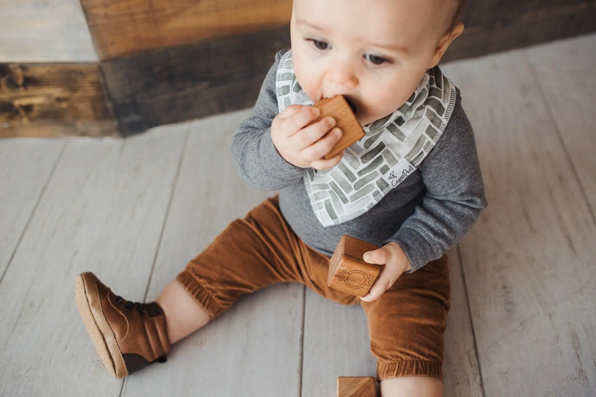 Baby Bandana Bibs - Alta