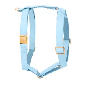 Baby Blue Harness