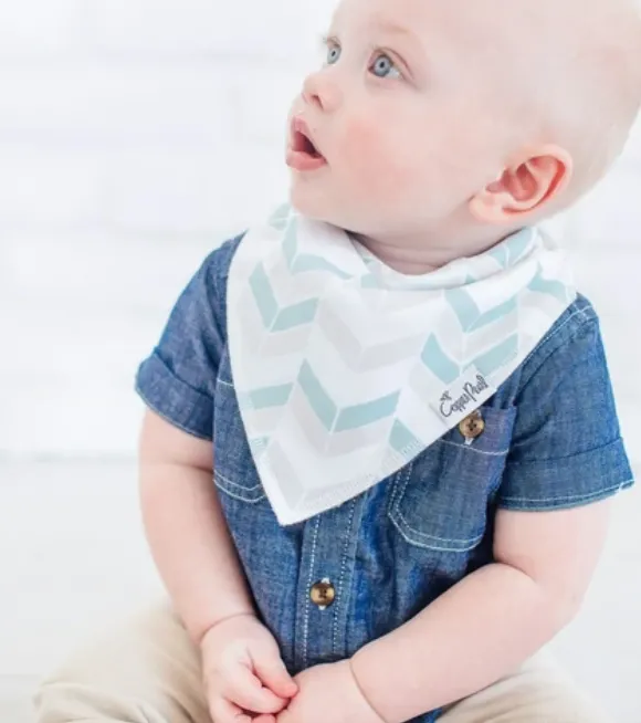 Bandana Bib