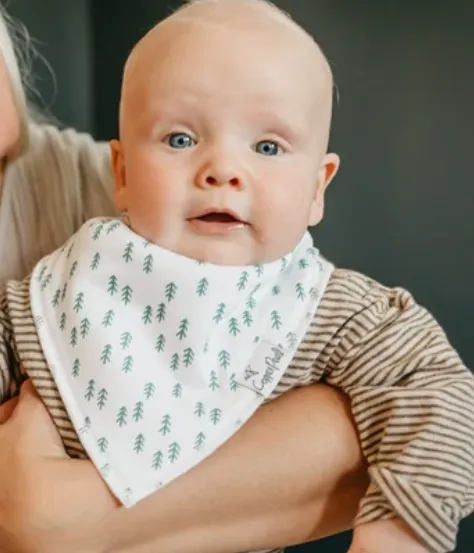 Bandana Bib