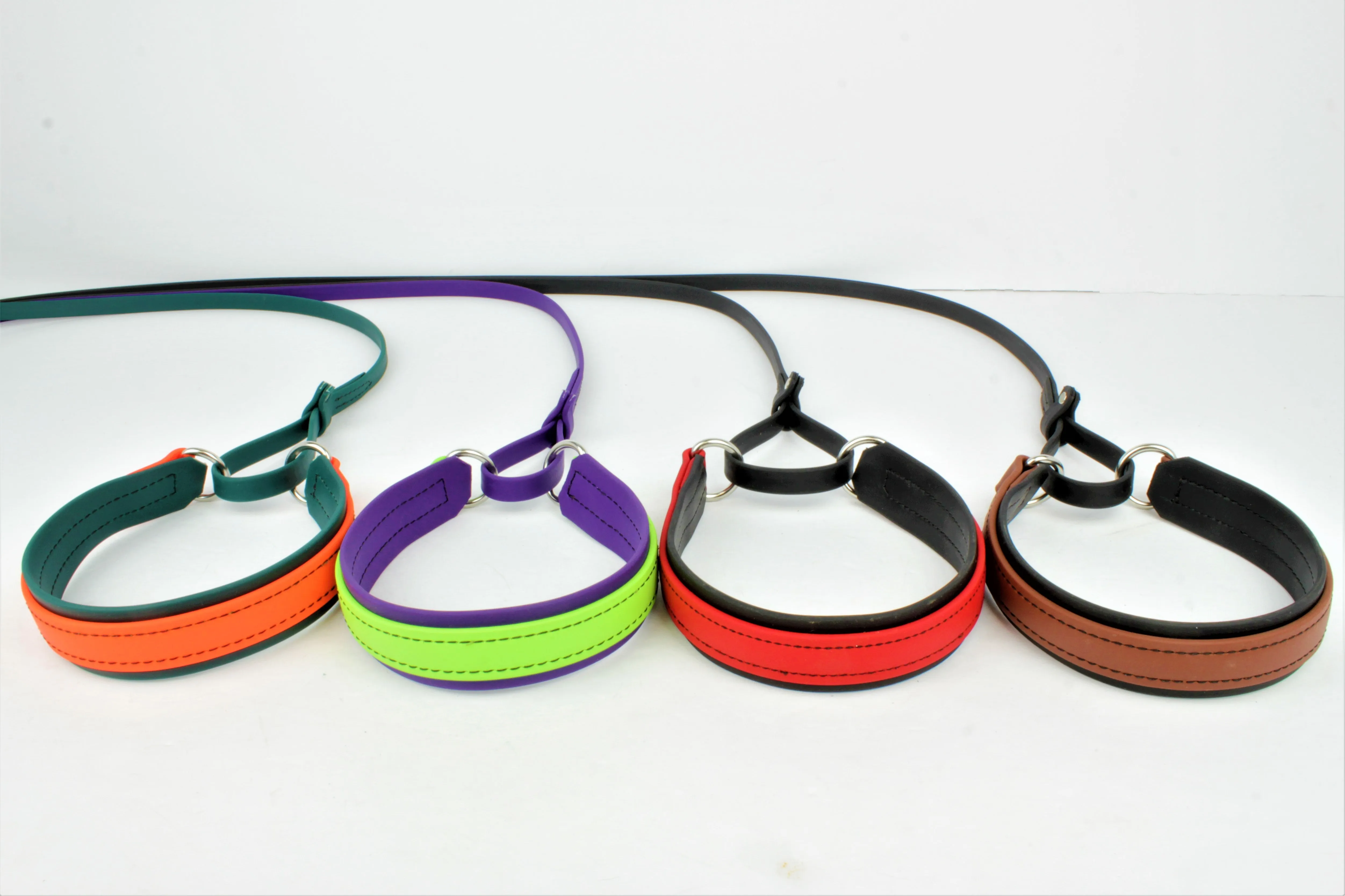 BioThane Sighthound Style Two Tone Martingale Leash