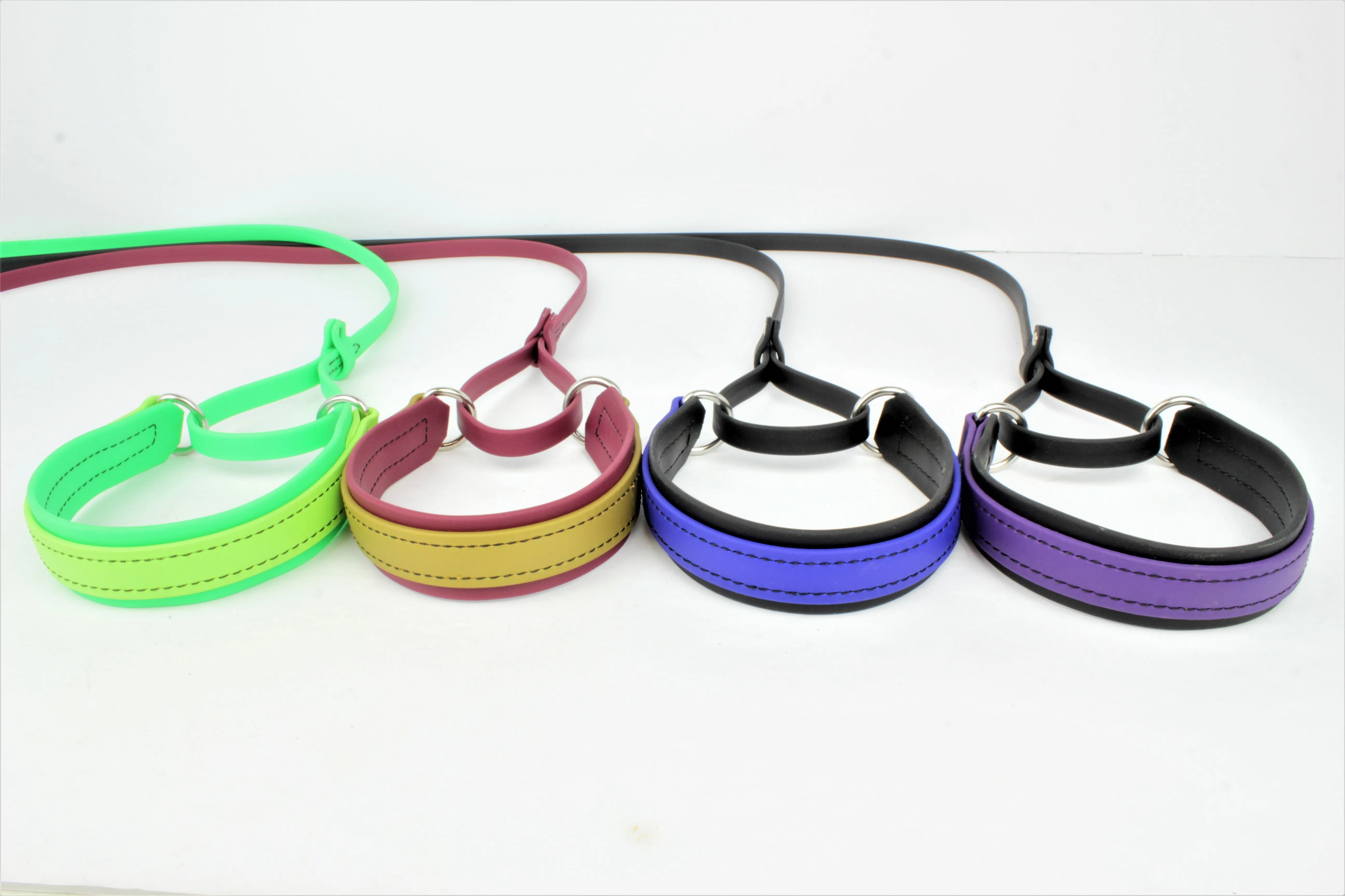 BioThane Sighthound Style Two Tone Martingale Leash