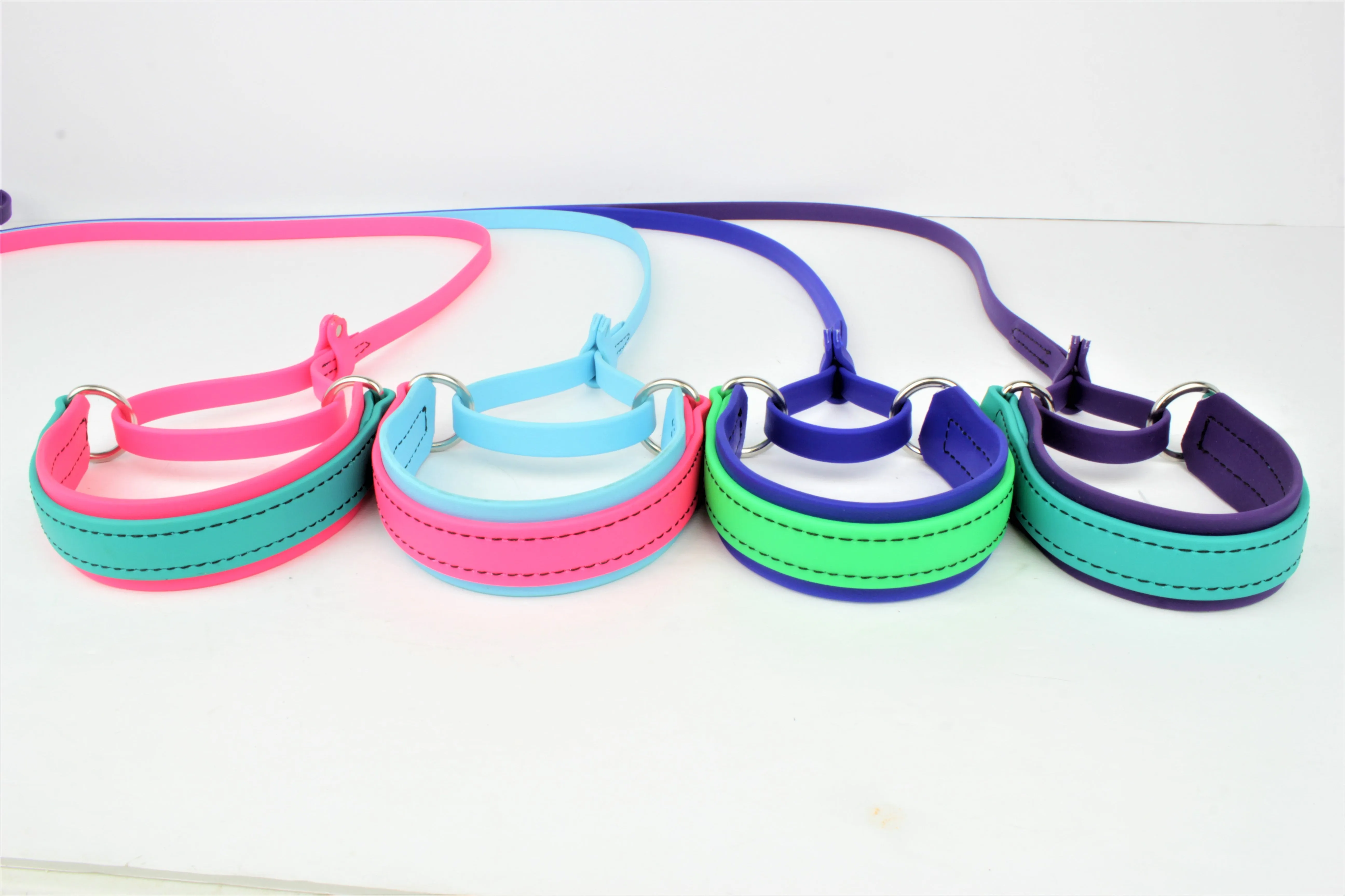 BioThane Sighthound Style Two Tone Martingale Leash