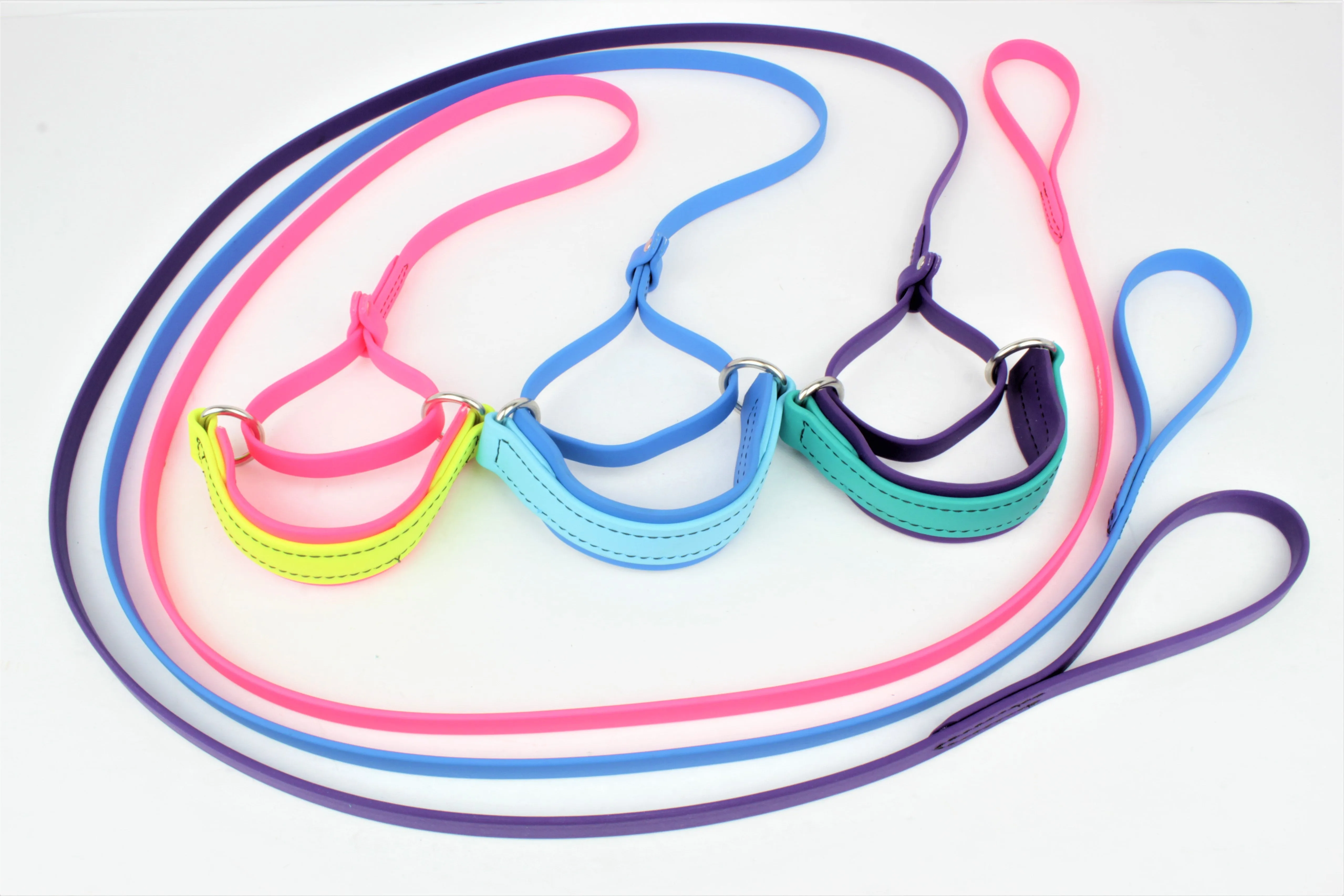 BioThane Sighthound Style Two Tone Martingale Leash