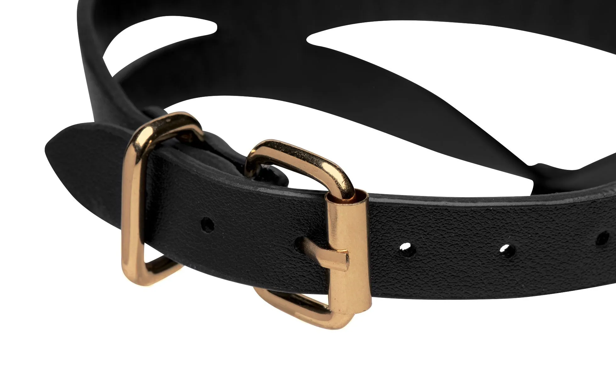 Black And Gold Collar With Leash Kit