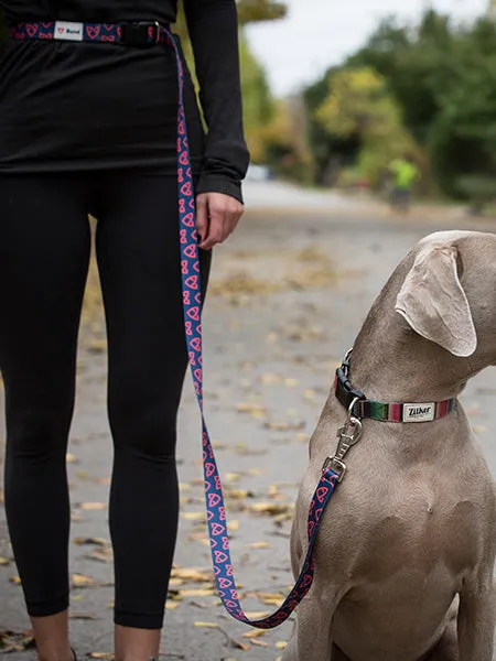 Born To Run: Customizable Dog Running Leashes