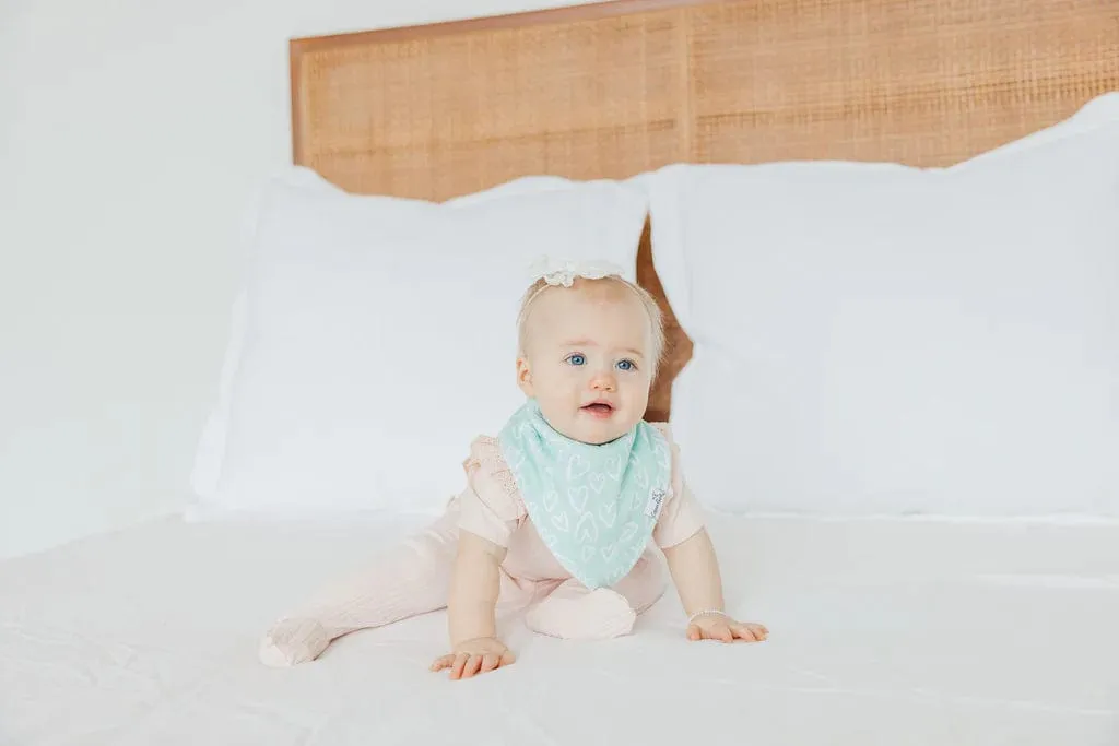 Cheery Bandana Bibs