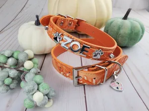 Collar | Pumpkin Spice