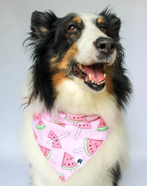 Dog Bandanas Made by Dog Bandana Co.