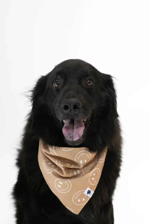 Dog Bandanas Made by Dog Bandana Co.