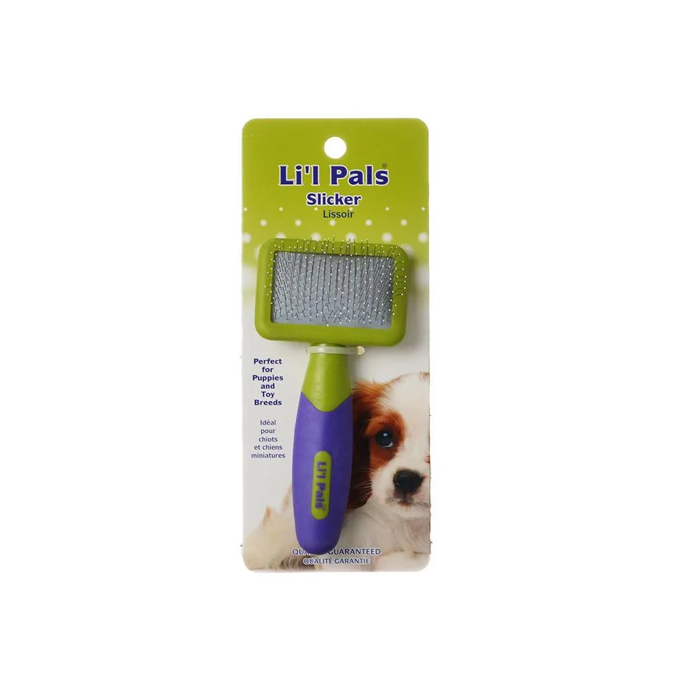 Dog Slicker Brush