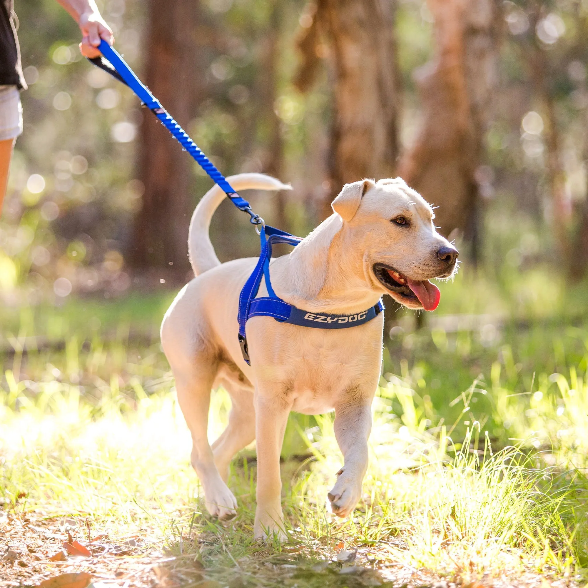 EzyDog Quick Fit Dog Harness - Red