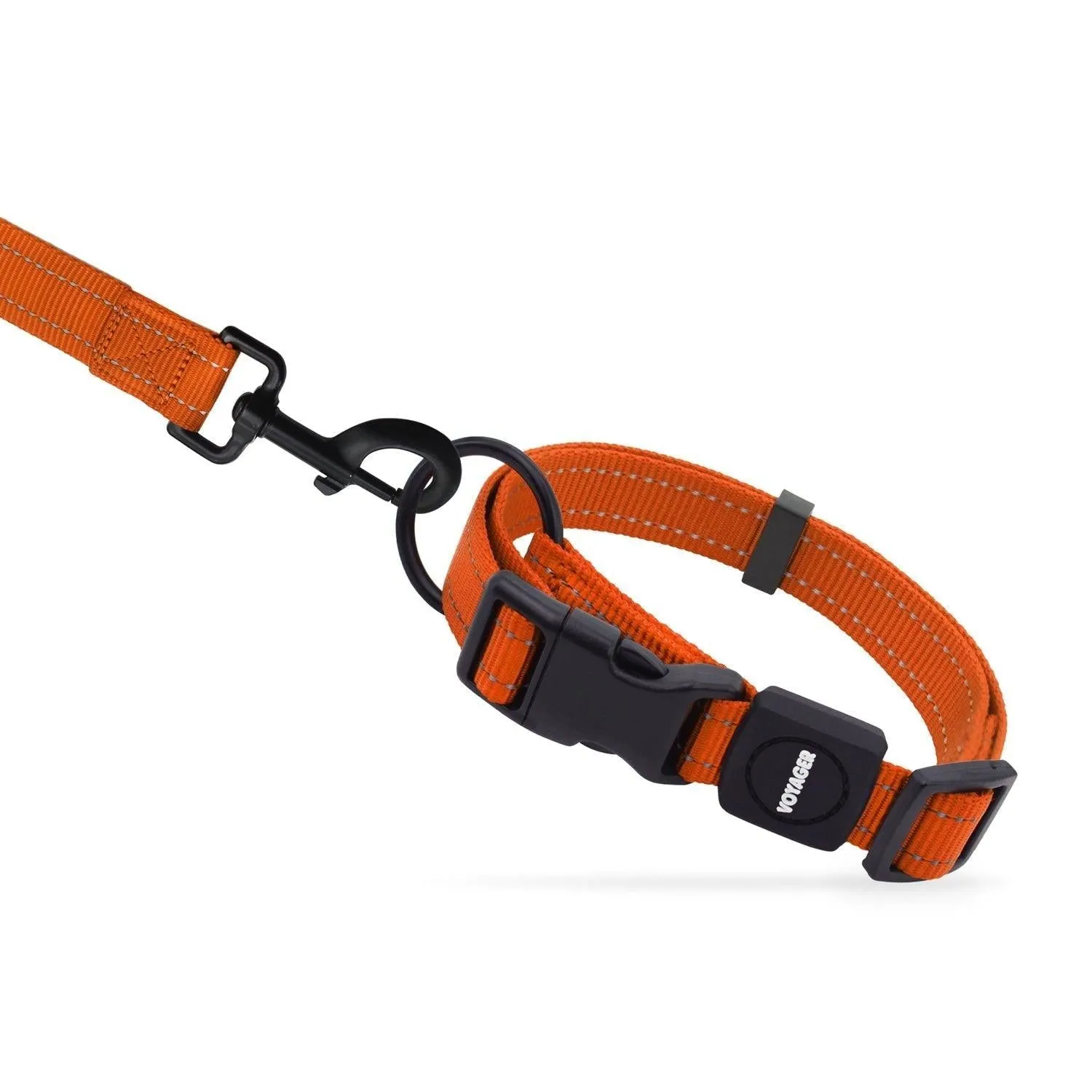 Halloween Voyager Leash and Collar Set