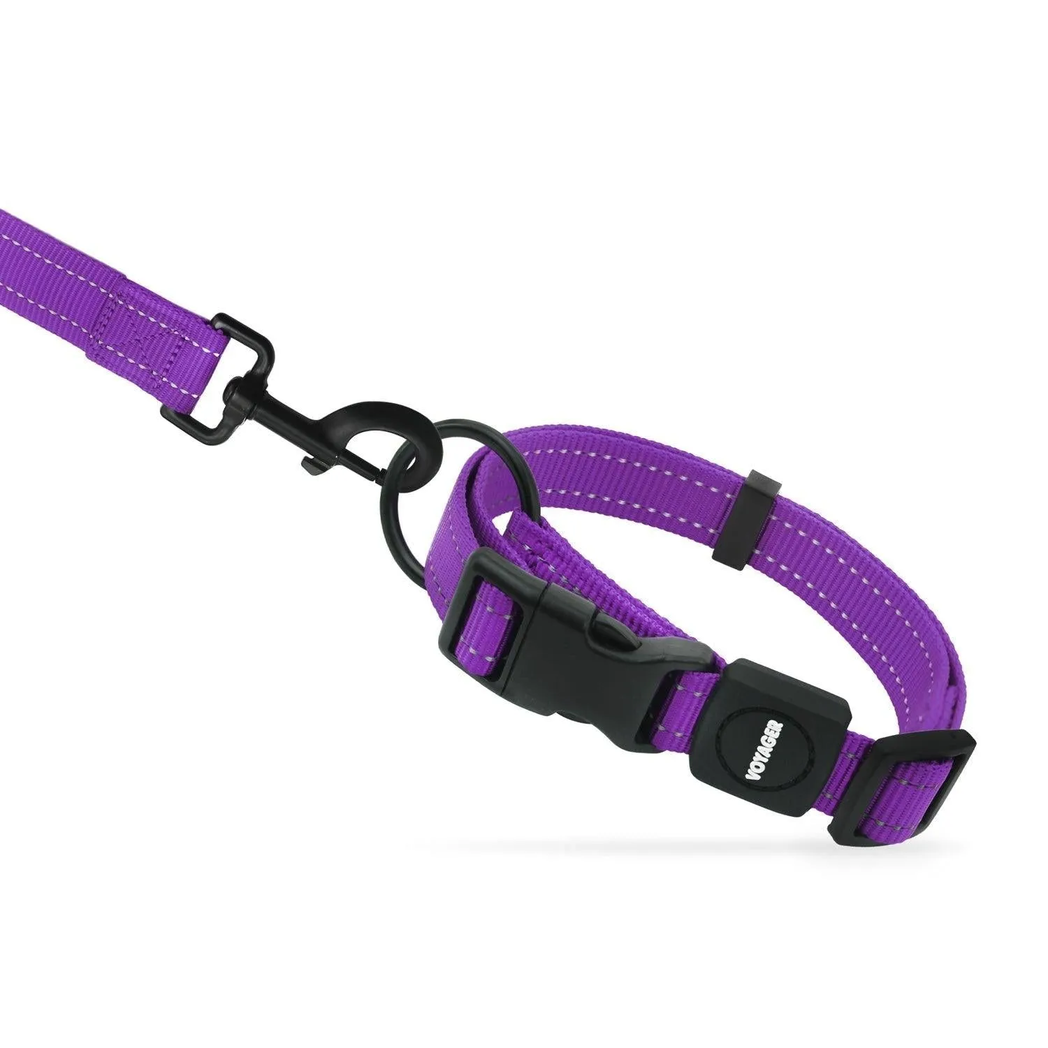 Halloween Voyager Leash and Collar Set