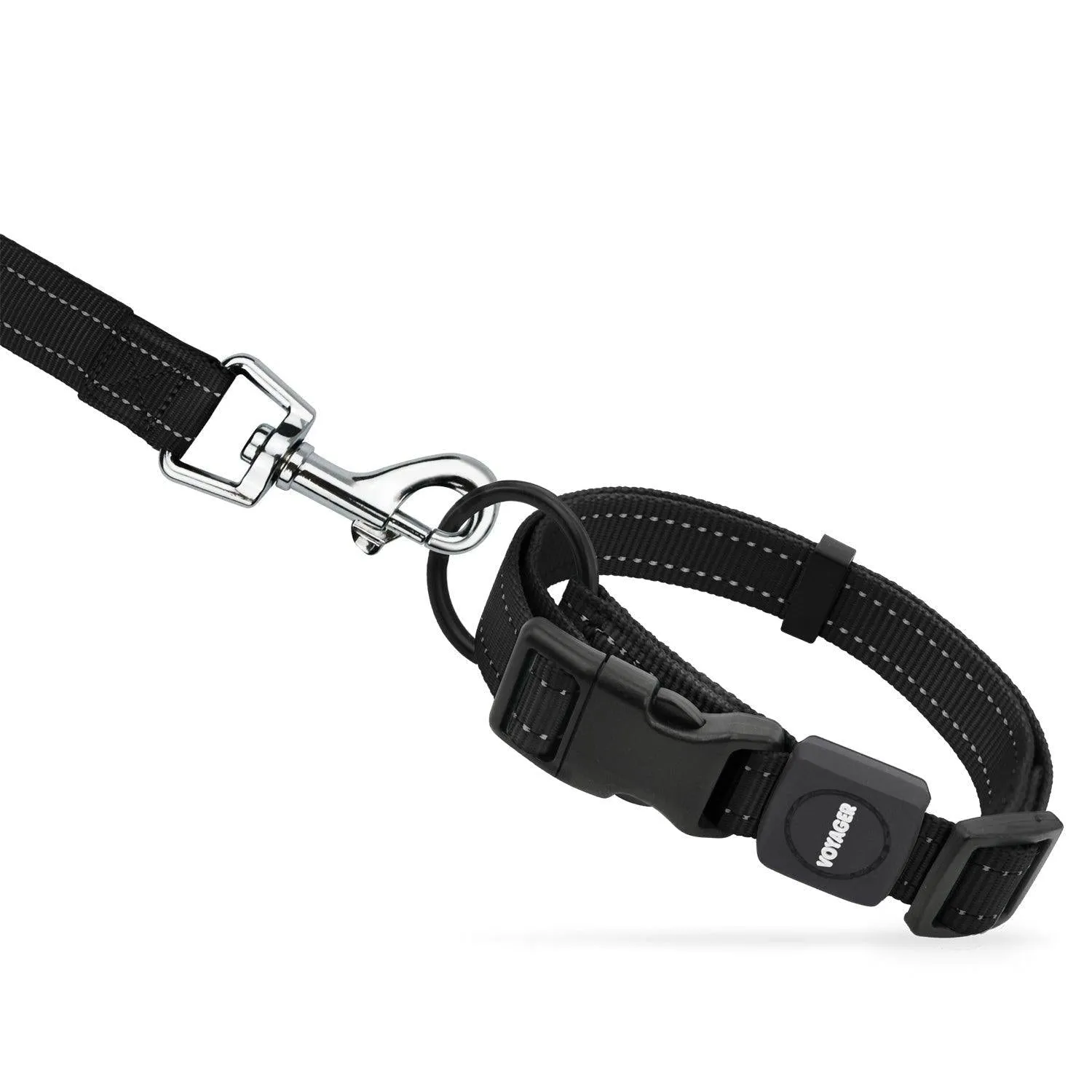 Halloween Voyager Leash and Collar Set