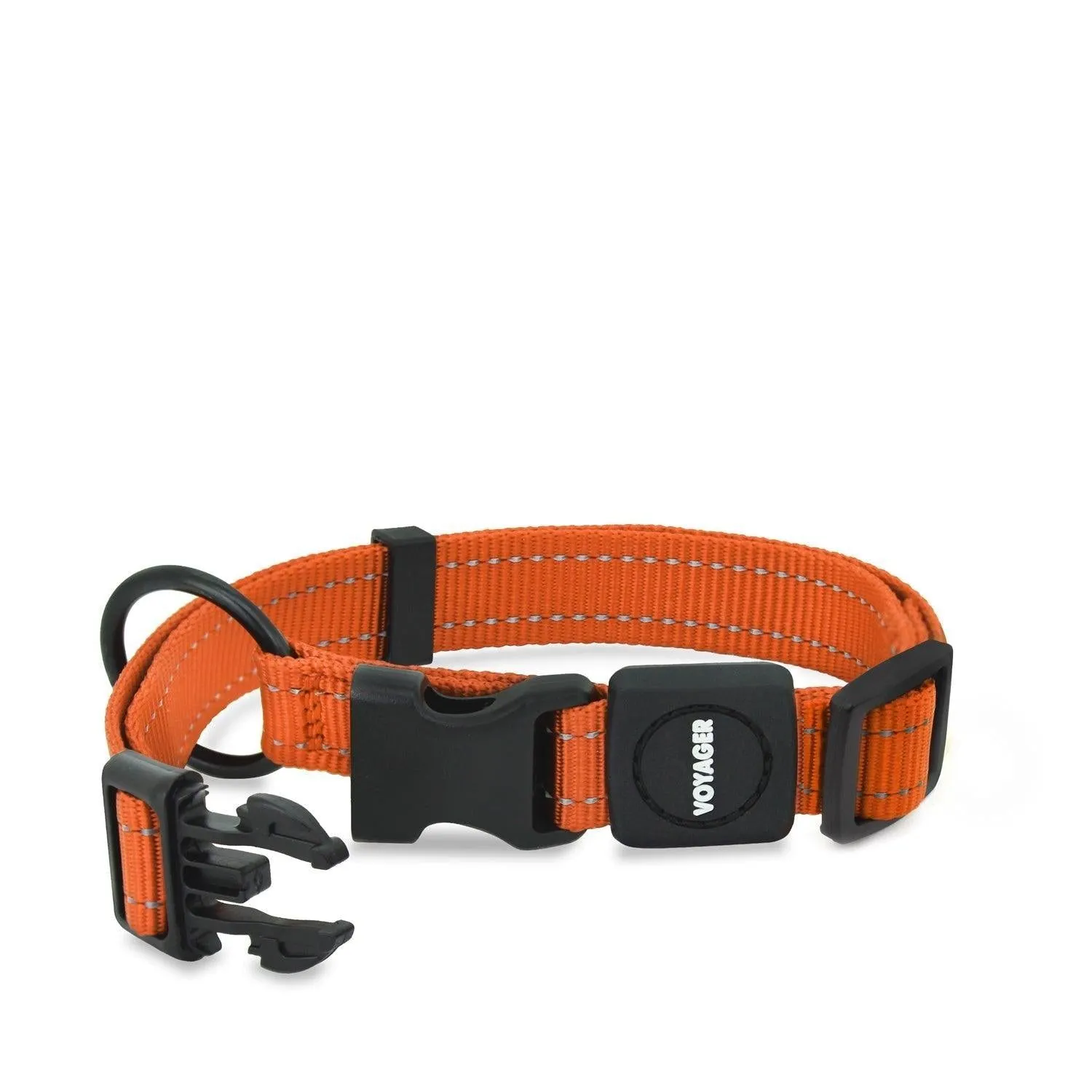 Halloween Voyager Leash and Collar Set