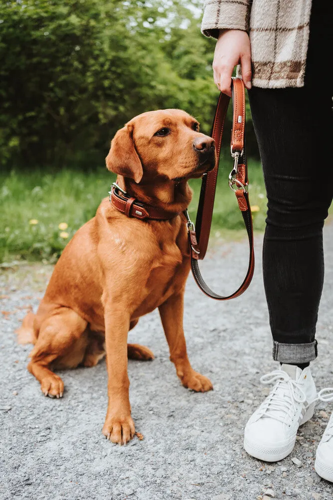 HUNTER "UP" Canadian Flat Adjustable Training Leashes