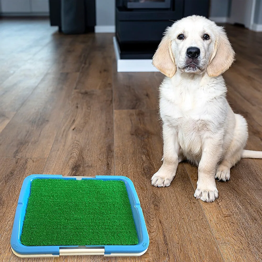 Indoor Dog Grass Training Pad, No Mess, Easy Cleanup, Portable