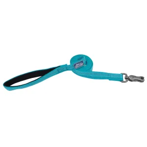 K9 Explorer Brights Reflective Dog Leash, Teal 1 x 6'