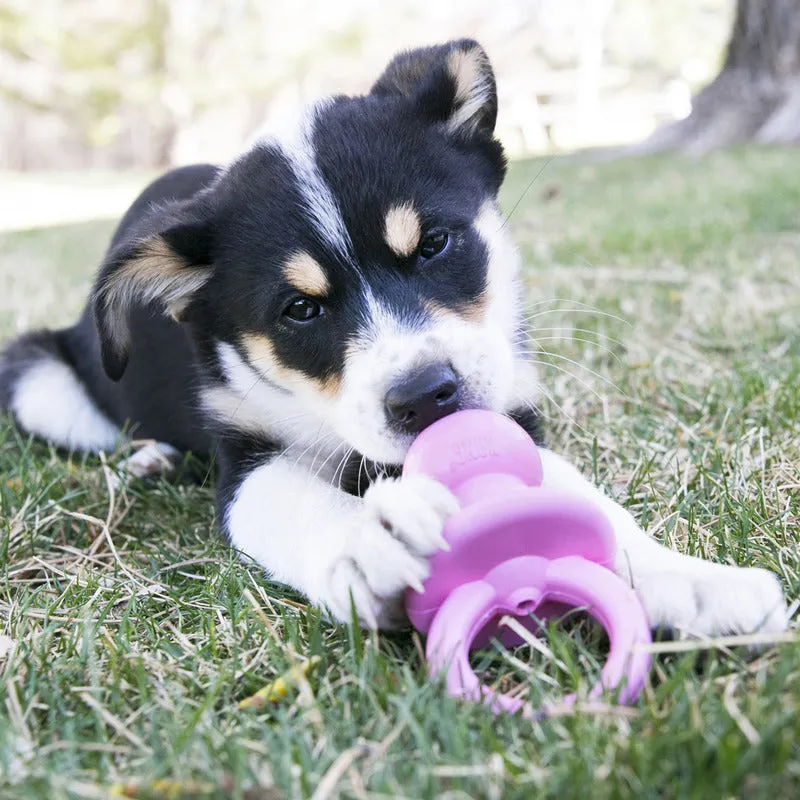 KONG Puppy Binkie Medium Dog Toy