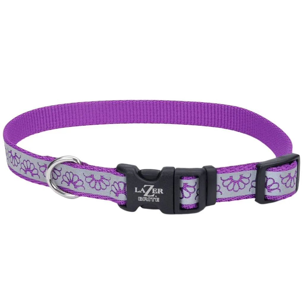 Lazer Brite Dog Collar, 8-12" x 3/8"