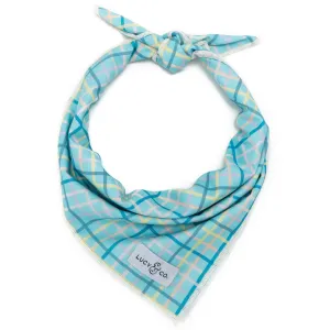 Lucy & Co. Richie Blue Bandana