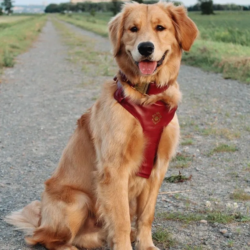 Maple Leaf Harness