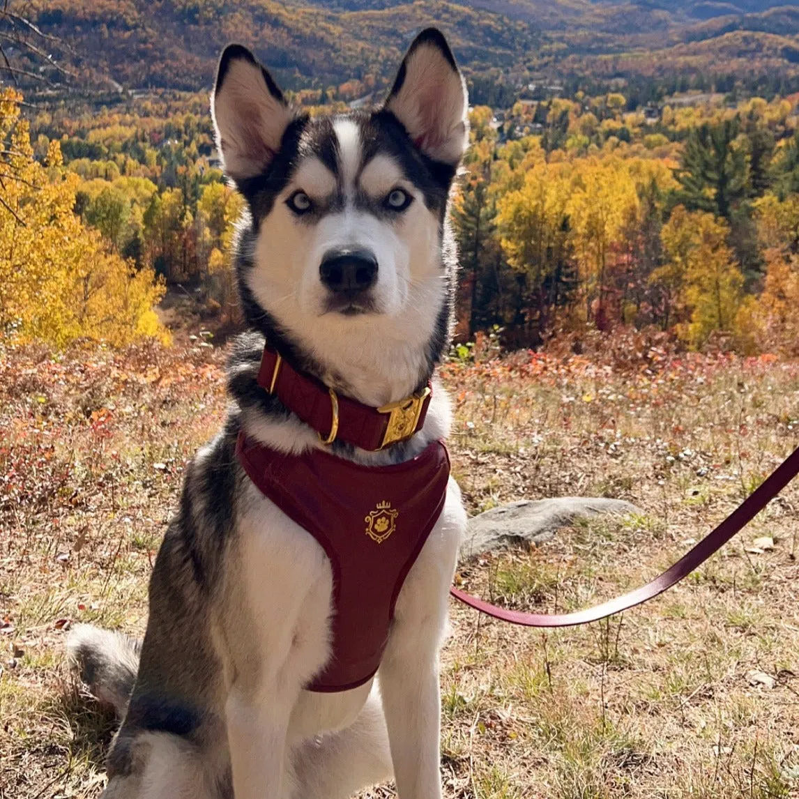 Maple Leaf Harness