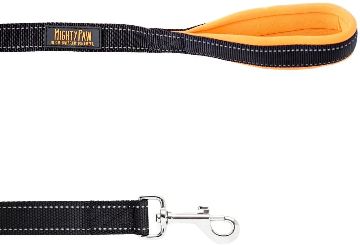 Mighty Paw Standard 6-Foot Dog Leash