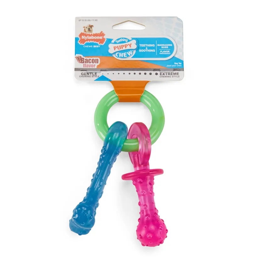 Nylabone Puppy Teething Pacifier