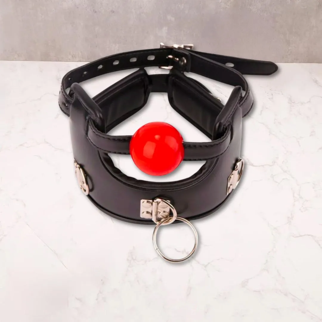 Padded Collar with Ball Gag