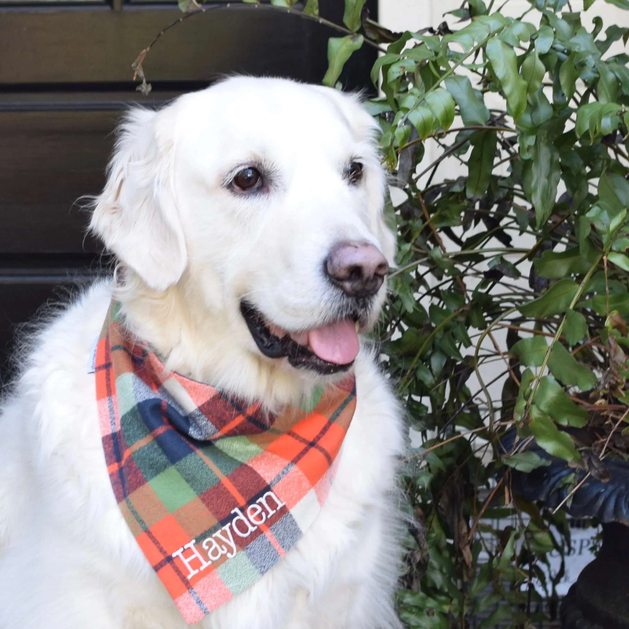 Personalized Flannel Dog Bandanas