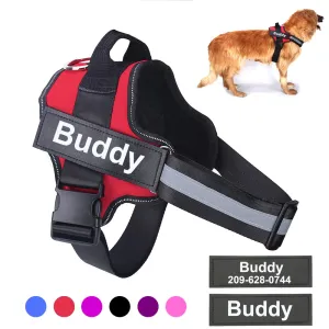 Personalized Harness - Custom Name & Phone Number (No Pull)