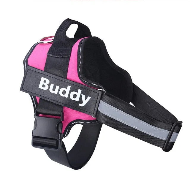 Personalized Harness - Custom Name & Phone Number (No Pull)