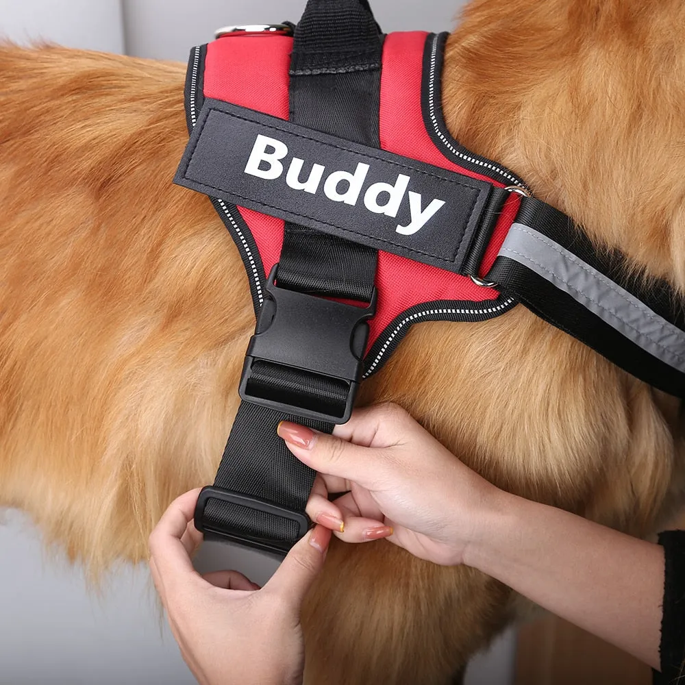 Personalized Harness - Custom Name & Phone Number (No Pull)