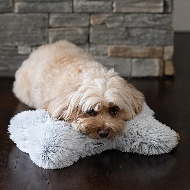 Plush Pink Pillow Bone with Squeakers