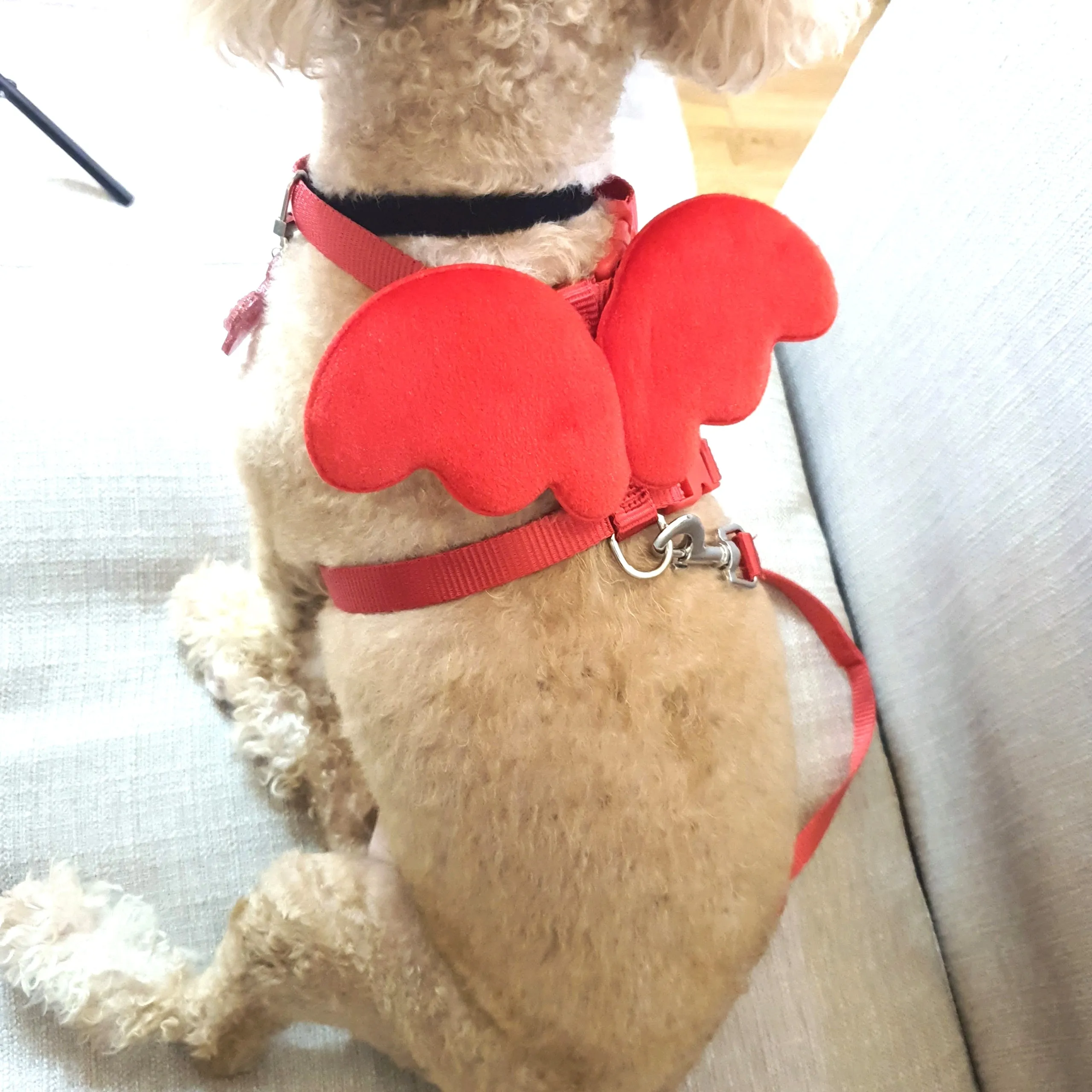 Red Angel Wings Pet Harness