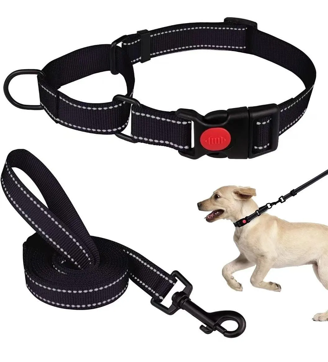 Reflective Dog Collar and Leash Set