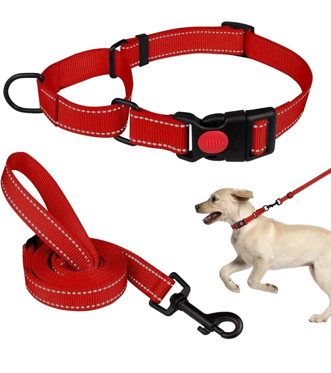 Reflective Dog Collar and Leash Set