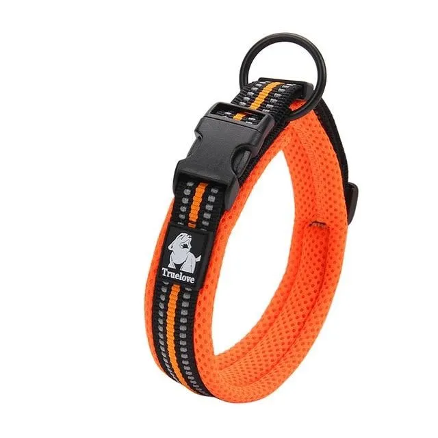 Reflective Mesh Padded Dog Collar