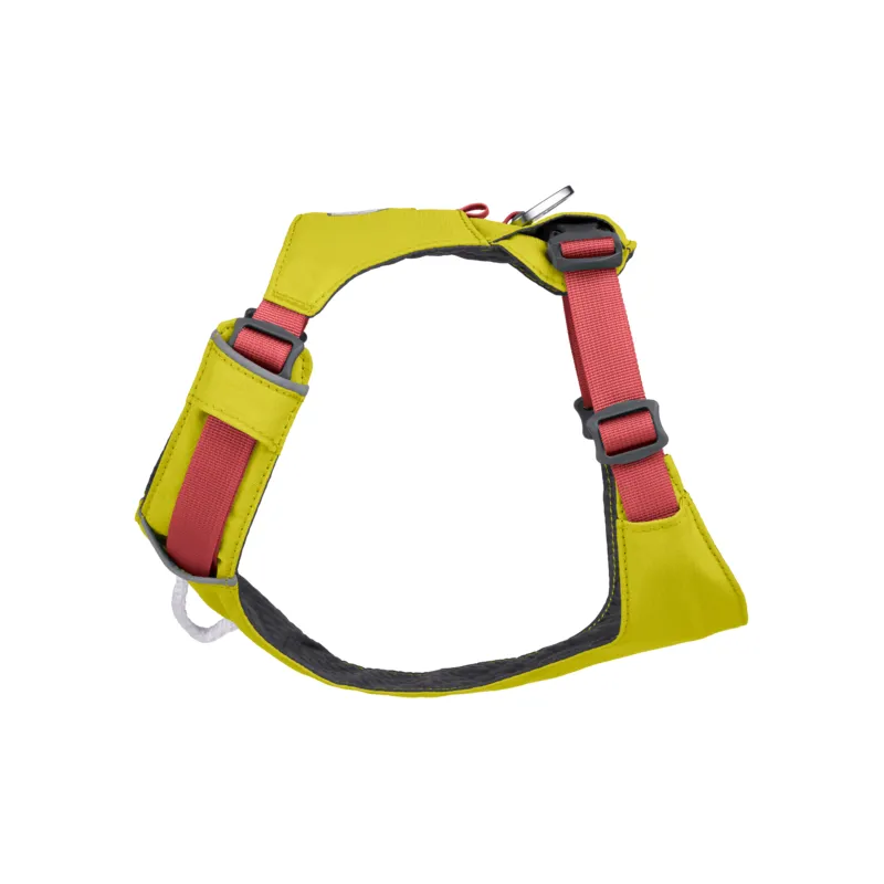 Ruffwear Hi & Light Dog Harness - Lichen Green