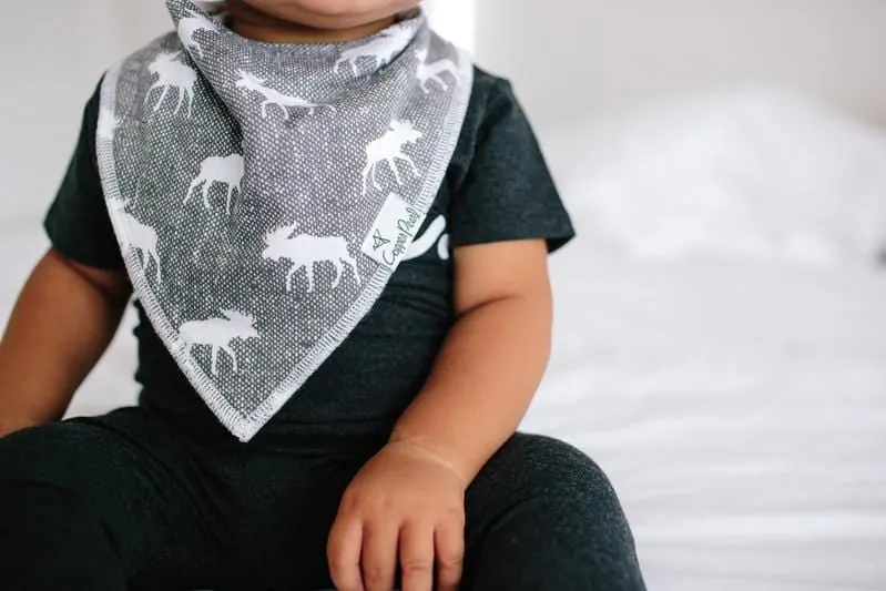 Scout Baby Bandana Bibs