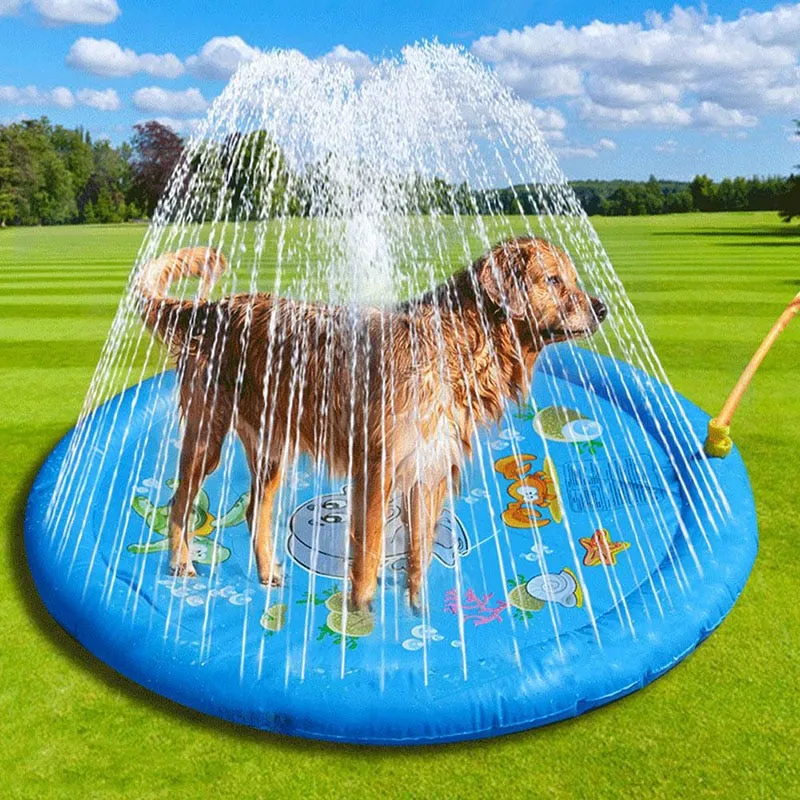 Sprinkler Splash Pad & Pool