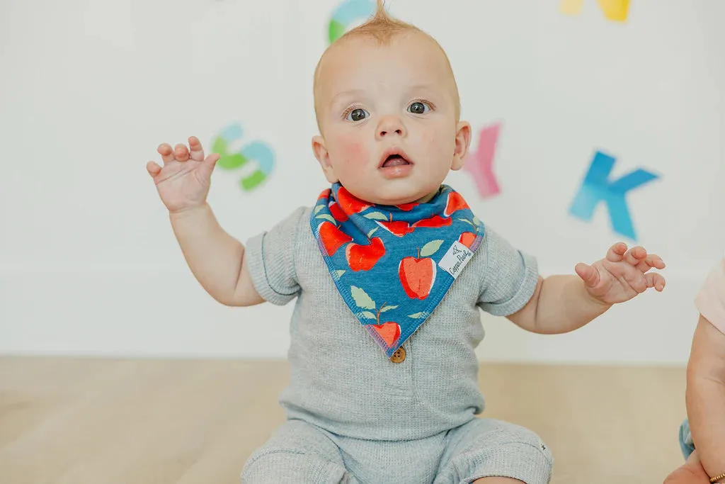 Teacher Baby Bandana Bibs