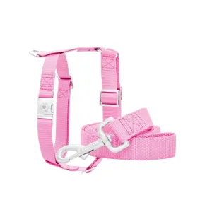 Tourmaline Leash & Harness Set