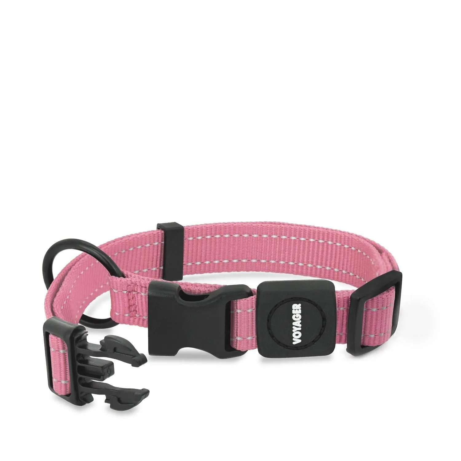 Valentine Leash and Collar Set