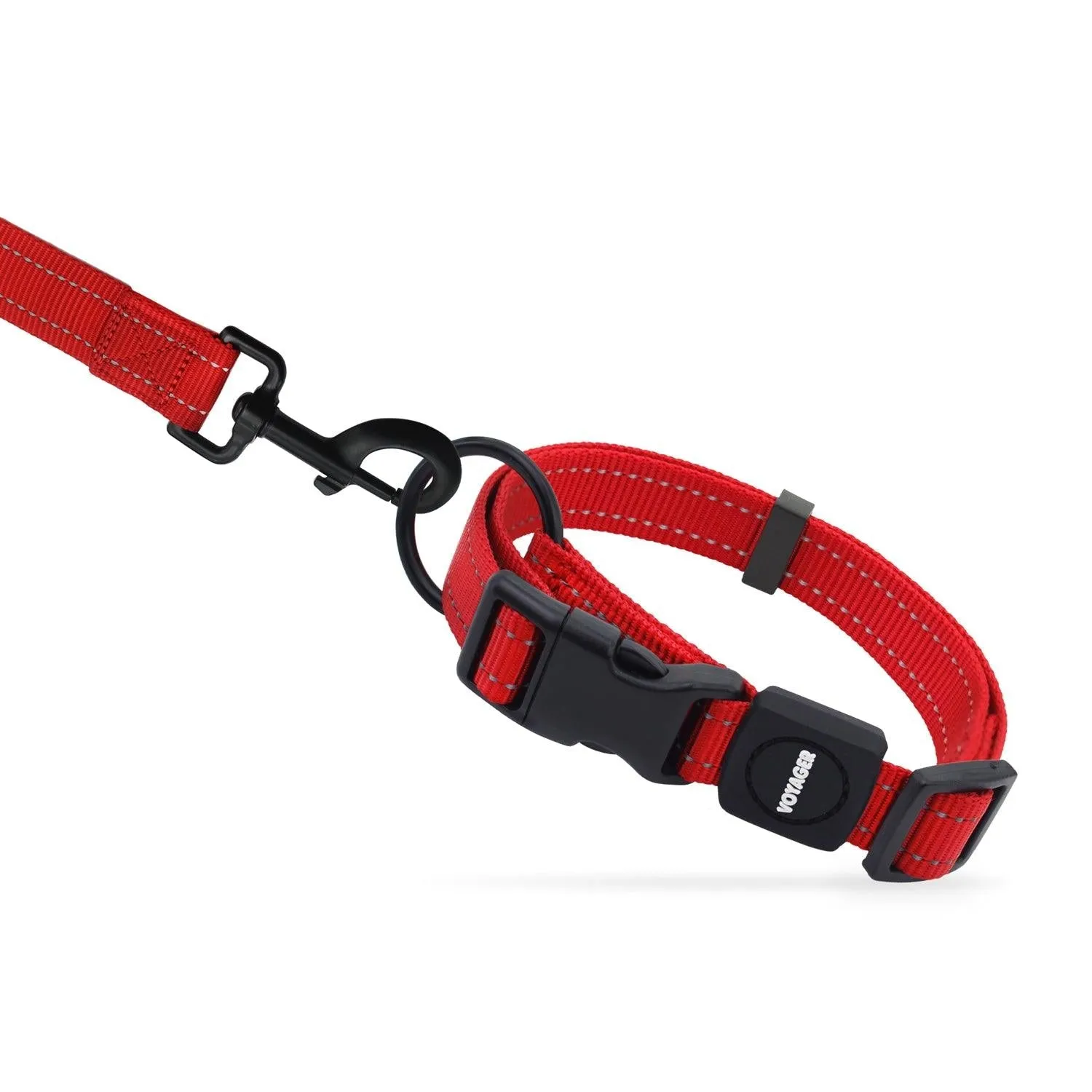 Valentine Leash and Collar Set