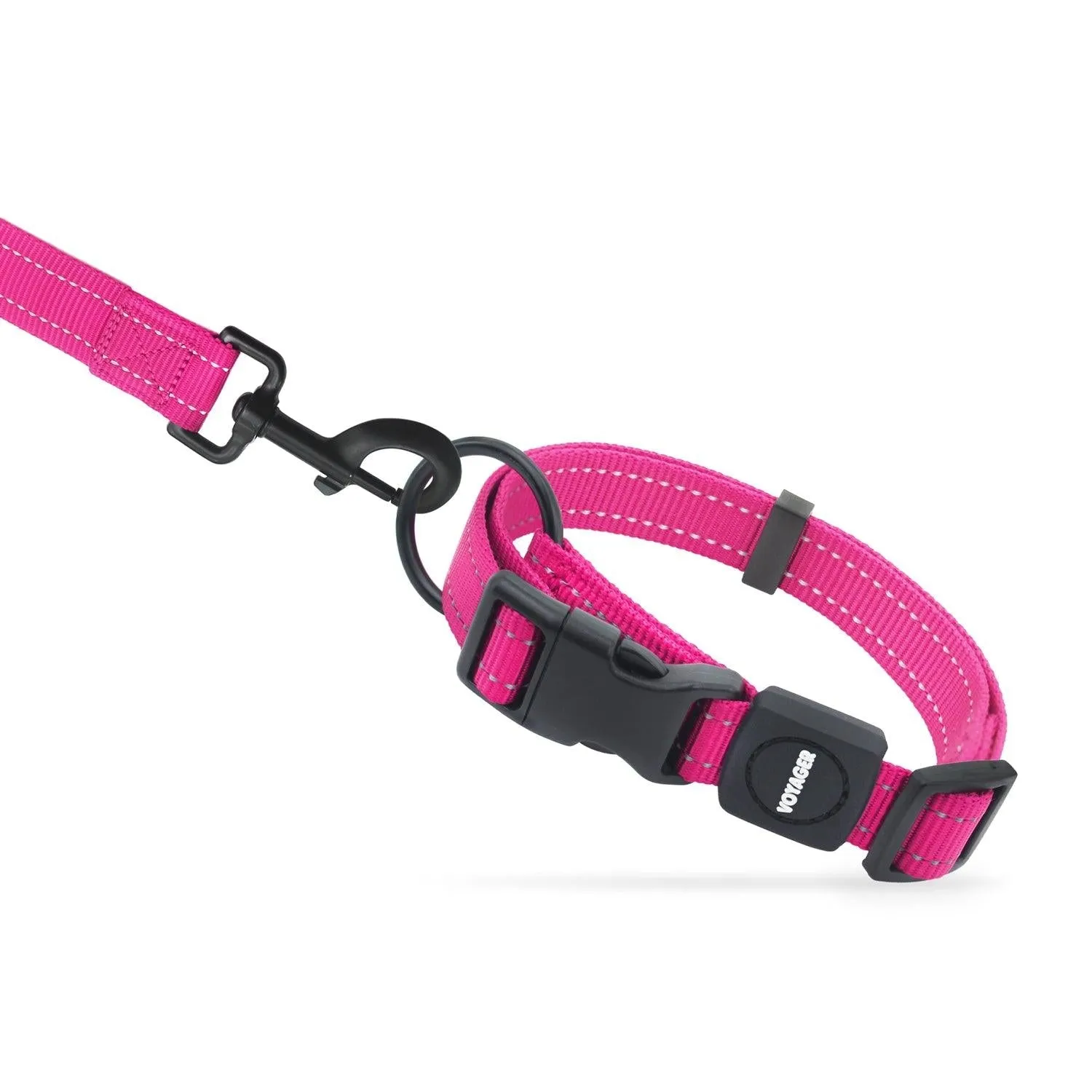 Valentine Leash and Collar Set