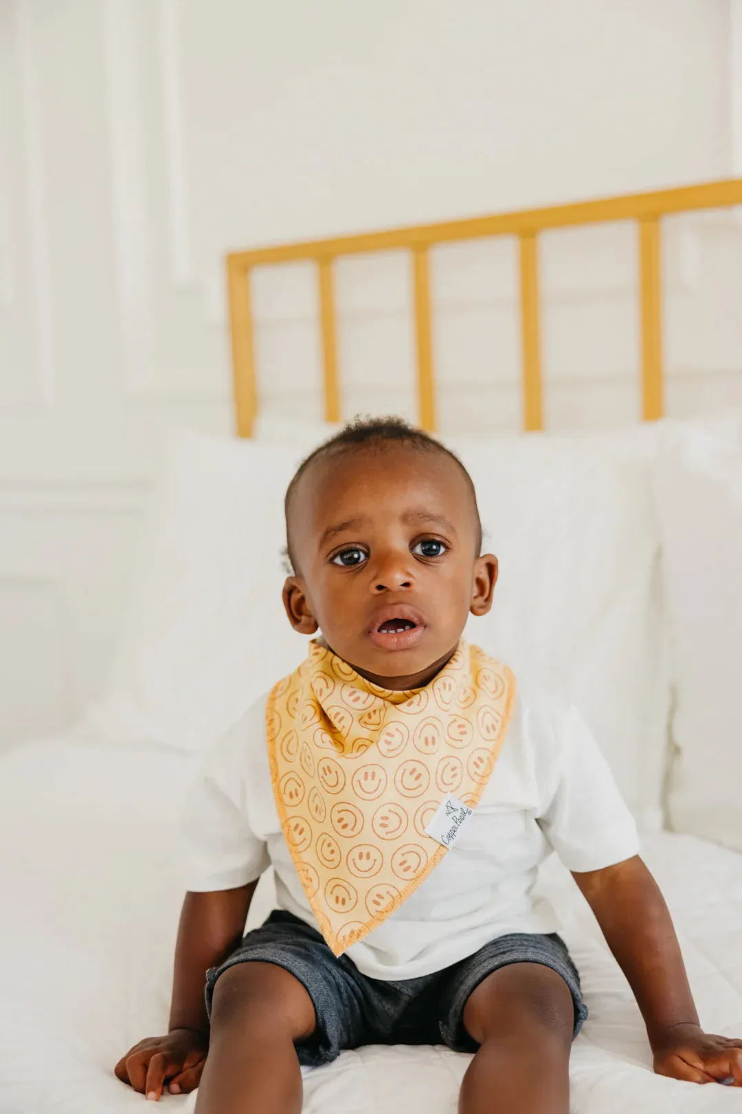 Vance Baby Bandana Bib- 4 Pack